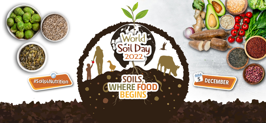 Global Soil Day 2022