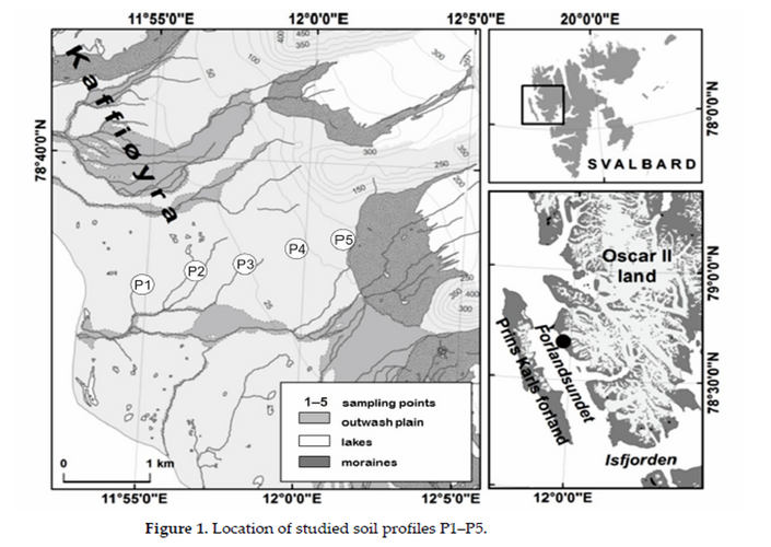 New article: Are Natural or Anthropogenic Factors Influencing Potentially Toxic Elements’ Enrichment in Soils in Proglacial Zones? An Example from Kaffiøyra (Oscar II Land, Spitsbergen)